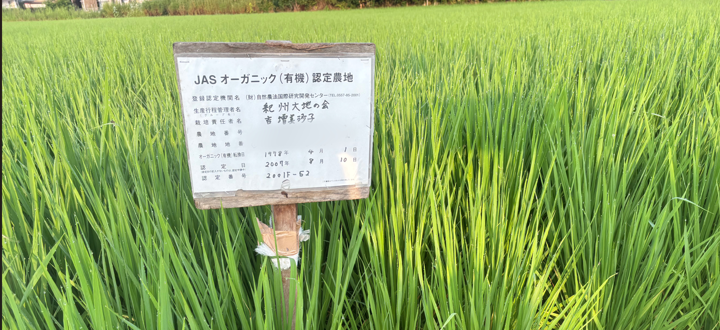 天の倉について